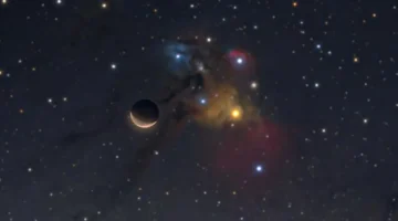 حظ مواليد برج العقرب 2 ديسمبر 2025 يوم مليء بالرومانسية يتطلب الحذر والتروي في العلاقات 1